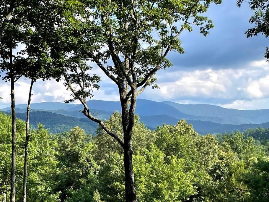 Bear Cloud Hébergement de vacances Blue Ridge